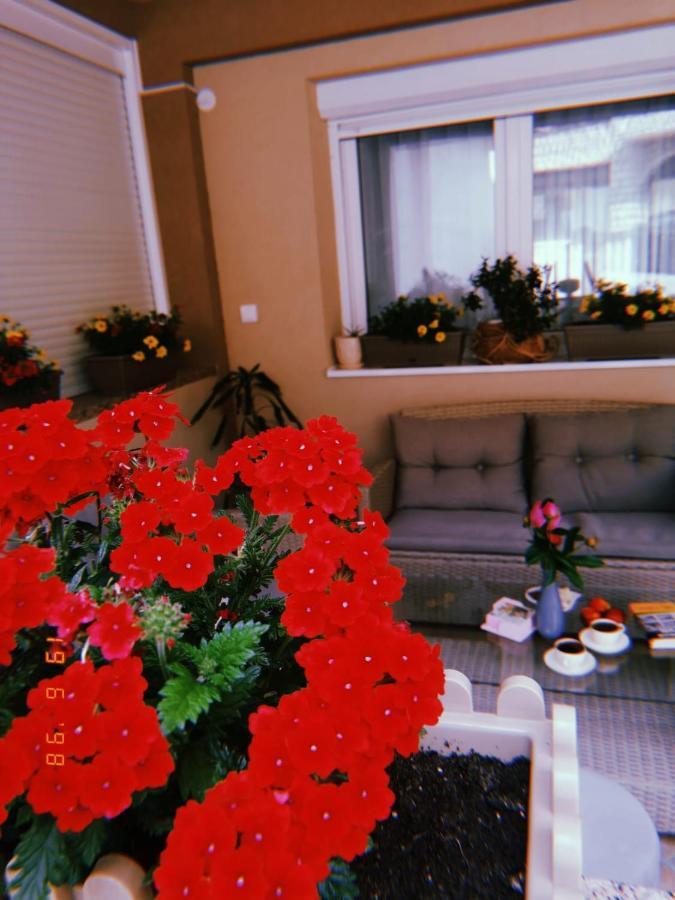 Apartman Jela Nova Varoš Exteriör bild
