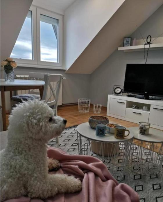 Apartman Jela Nova Varoš Exteriör bild