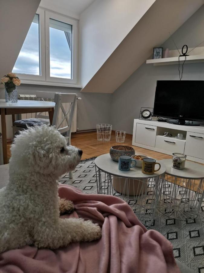 Apartman Jela Nova Varoš Exteriör bild